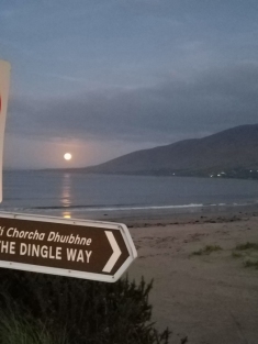 Full harvest moon on the Dingle
