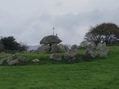 Carrowmore dolman and crows
